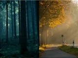 Evaluating And Enhancing Video Captioning Models